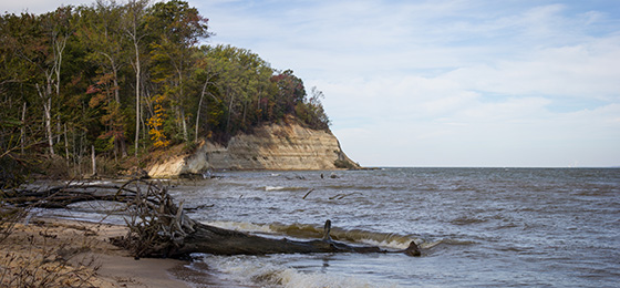 hình ảnh thanh trượt