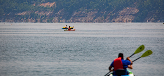 hình ảnh thanh trượt