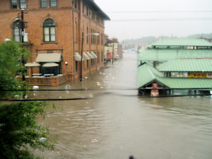 17Chợ nông sản đường phố