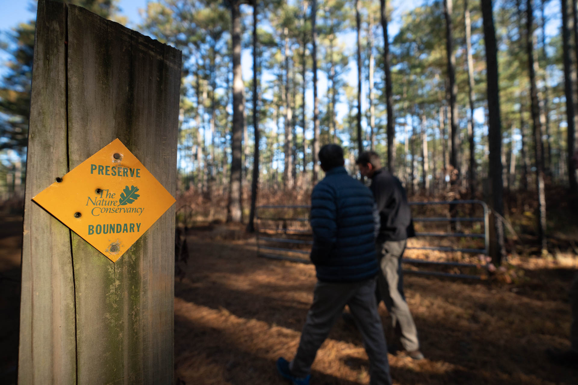 Bảo tồn thiên nhiên