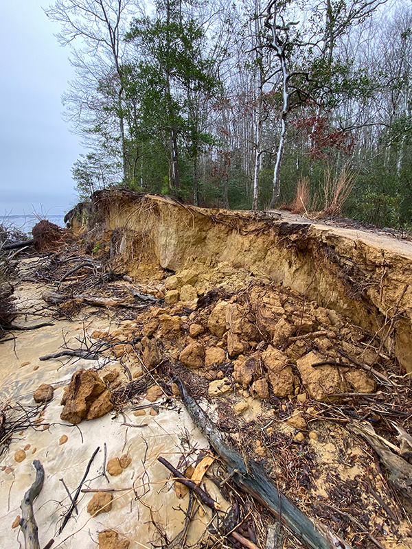 bờ biển tại Công viên Tiểu bang York River trước khi ổn định