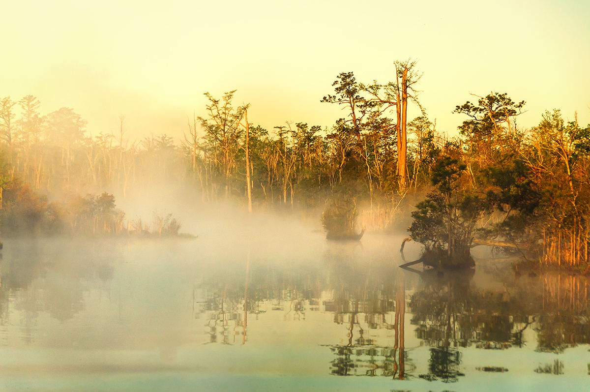 sông North Landing sương mù, giải thưởng danh dự, ảnh của erik moore