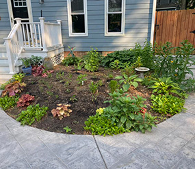 Cây trồng sinh thái đang vào