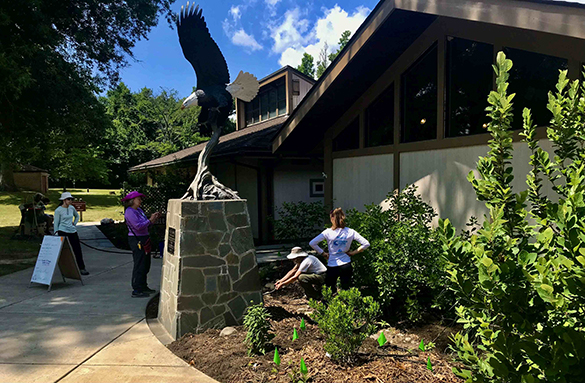 Công viên tiểu bang Mason Neck