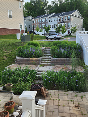 khu vườn vào mùa xuân