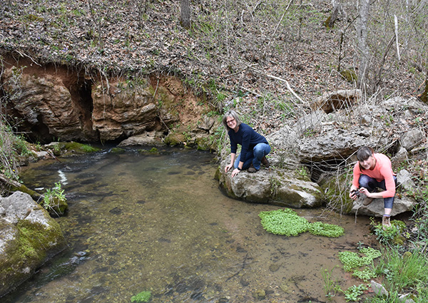 Suối Mill Creek ở Quận Scott - Tìm thấy chân đều mùa xuân của Katarina