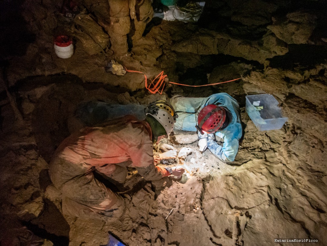 Nhóm đang tỉ mỉ đào bới xung quanh bộ xương. 