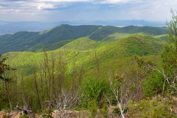 Khu bảo tồn thiên nhiên Poor Mountain