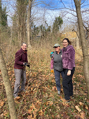 Nhân viên đang loại bỏ các loài xâm lấn