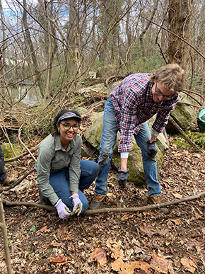Nhân viên đang loại bỏ các loài xâm lấn