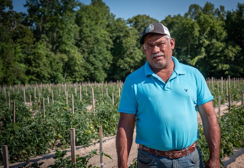 Người đàn ông trong một khu vườn