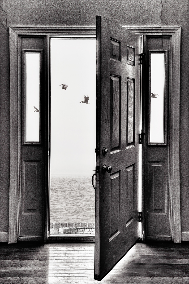 "Ngày tận thế" của Wendy Nelson