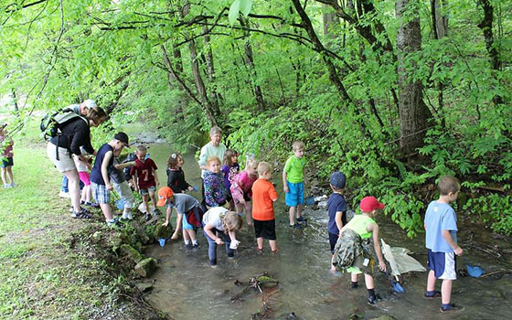 Chuyến đi thực tế tại Công viên tiểu bang Hungry Mother