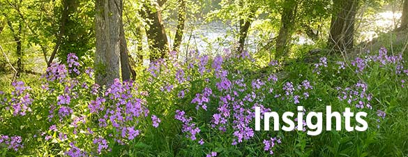 Thông tin chi tiết