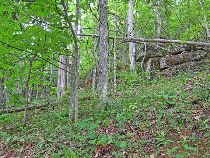 nat-mill-creek.png nat-mill-creek.png