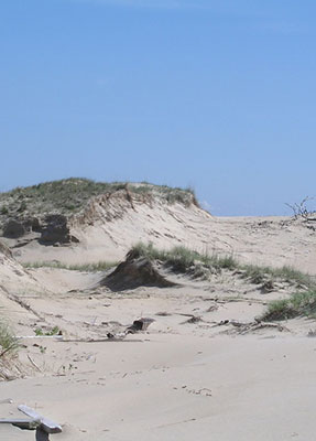 Tin tức và sự kiện