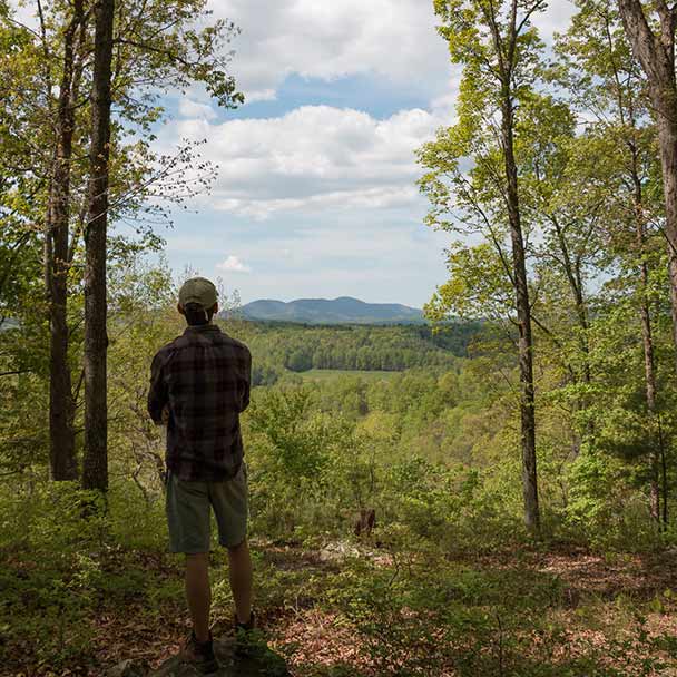 Chương trình bảo tồn đất đai