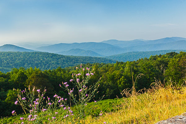 Quận Bắc gần Rattlesnake Point Overlook ở Công viên quốc gia Shenandoah. NPS | N. Lewis Quận Bắc gần Rattlesnake Point Overlook ở Công viên quốc gia Shenandoah. NPS | N. Lewis