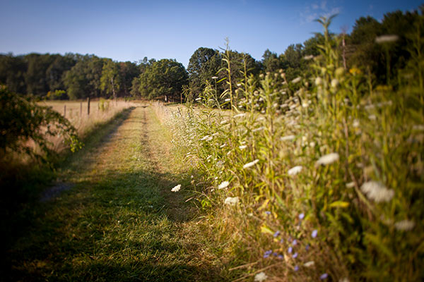 Công viên tiểu bang sông Shenandoah. Ảnh Saxman Photography