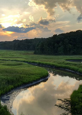 Làm thế nào để bảo tồn đất đai