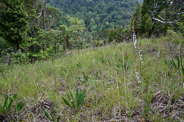 Khu bảo tồn thiên nhiên Cleveland Barrens