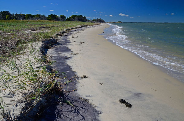 Khu bảo tồn thiên nhiên đảo Parramore