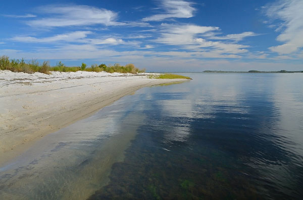 Khu bảo tồn thiên nhiên Parkers Marsh