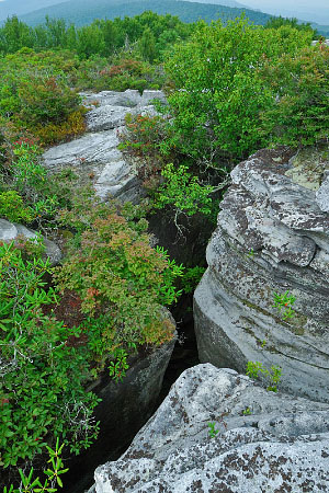 ảnh của Kênh NAP
