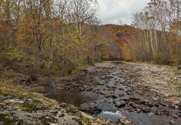 Khu bảo tồn thiên nhiên Brocks Gap