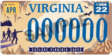 ảnh biển số xe hang động