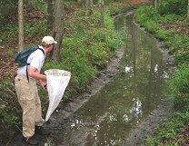 ảnh chụp nhà động vật học thực địa đang kiểm kê các loài quý hiếm