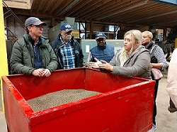 hình ảnh của hộp đựng hạt giống hoa dại bản địa