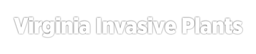 Virginia Invasive Plants