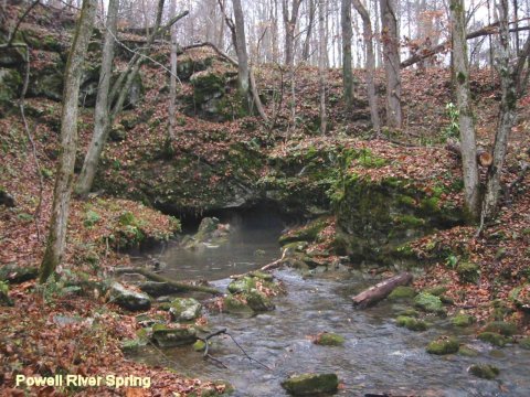 mùa xuân sông powell