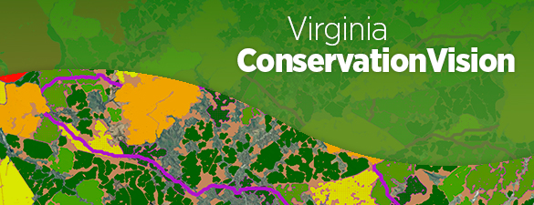 Tầm nhìn bảo tồn VA