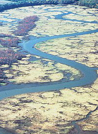 hình ảnh của cửa sông