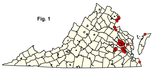 bản đồ cộng đồng