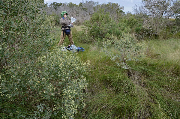 ảnh tẩy tế bào chết bằng muối