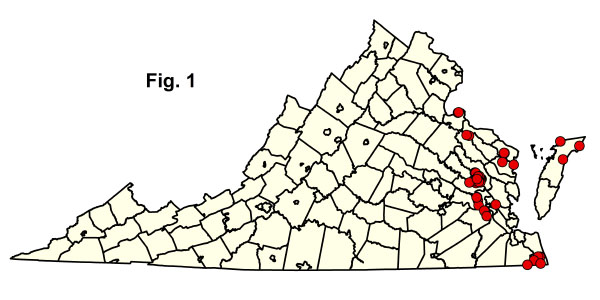 bản đồ cộng đồng