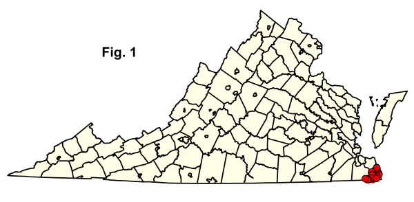 bản đồ cộng đồng