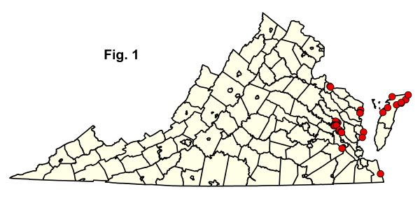 bản đồ cộng đồng