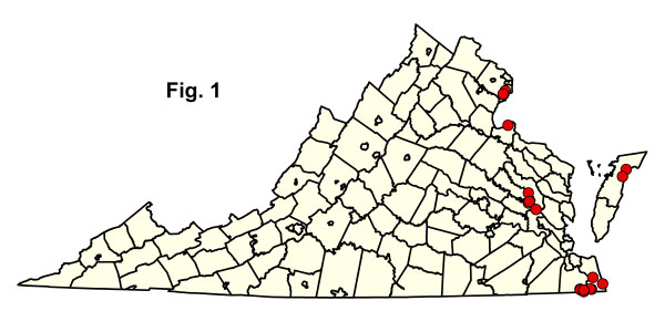 bản đồ cộng đồng