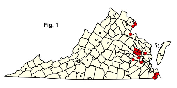 bản đồ cộng đồng