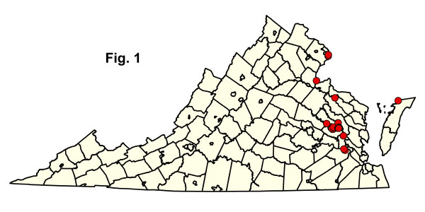 bản đồ cộng đồng