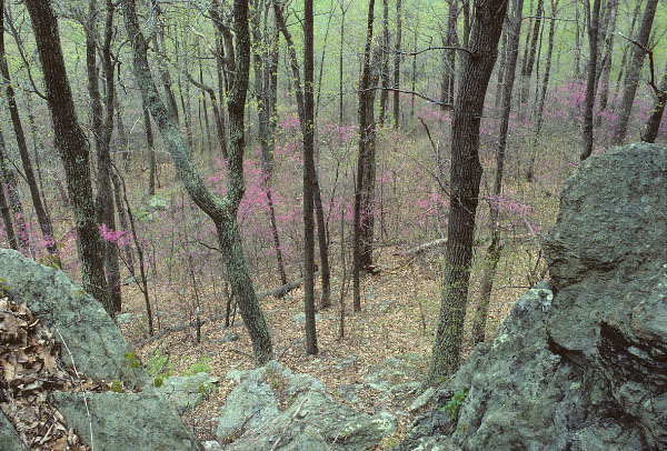 Liên kết này mở một cửa sổ trình duyệt mới để hiển thị ảnh lớn hơn Một hình ảnh