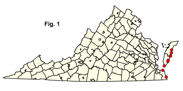 bản đồ cộng đồng