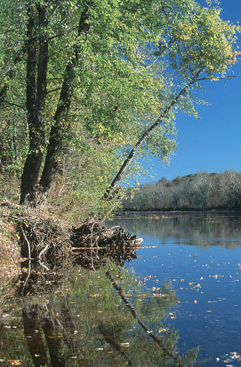 ảnh sông James và vùng đồng bằng ngập lụt