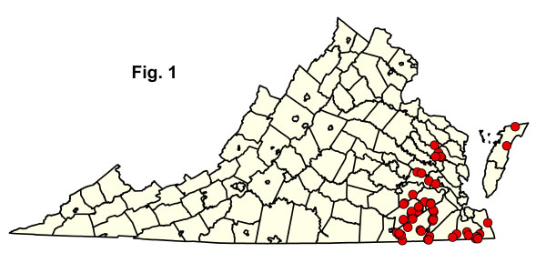 bản đồ cộng đồng