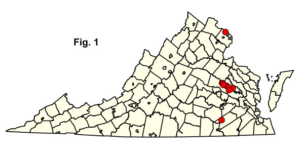 bản đồ cộng đồng