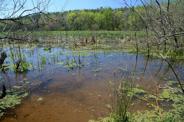 hình ảnh của dòng sông thủy triều năng lượng cao